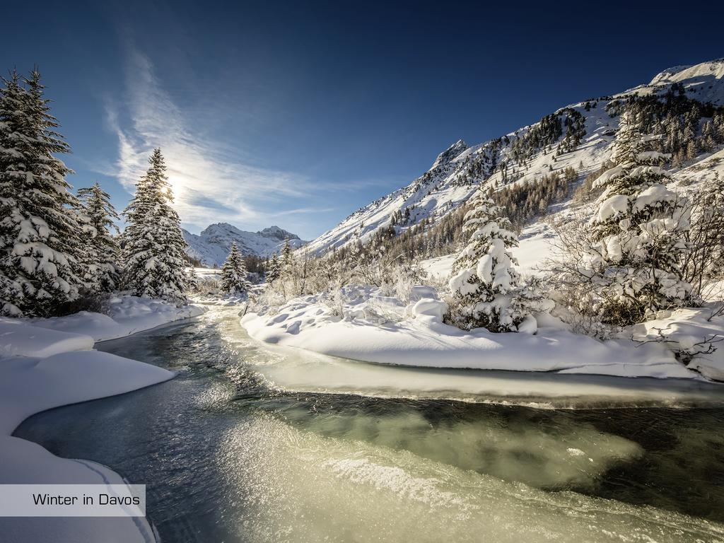 Grischa - Das Hotel Davos Extérieur photo